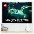 Meeresschildkröten. Nomaden der Ozeane (hochwertiger Premium Wandkalender 2025 DIN A2 quer), Kunstdruck in Hochglanz - Elisabeth Stanzer