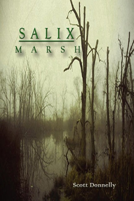 Salix Marsh - Scott Donnelly