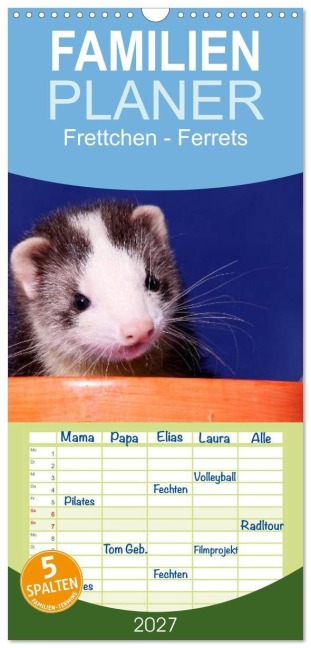 Familienplaner 2027 - Frettchen - Ferrets mit 5 Spalten (Wandkalender, 21 x 45 cm) CALVENDO - Jeanette Hutfluss