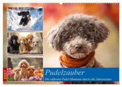 Cover-Bild zum Titel 'Pudelzauber (Wandkalender 2027 DIN A2 quer), CALVENDO Monatskalender' von 'Steffen Gierok-Latniak'