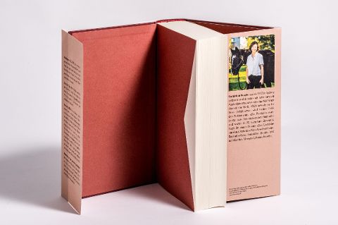 InsideView 5