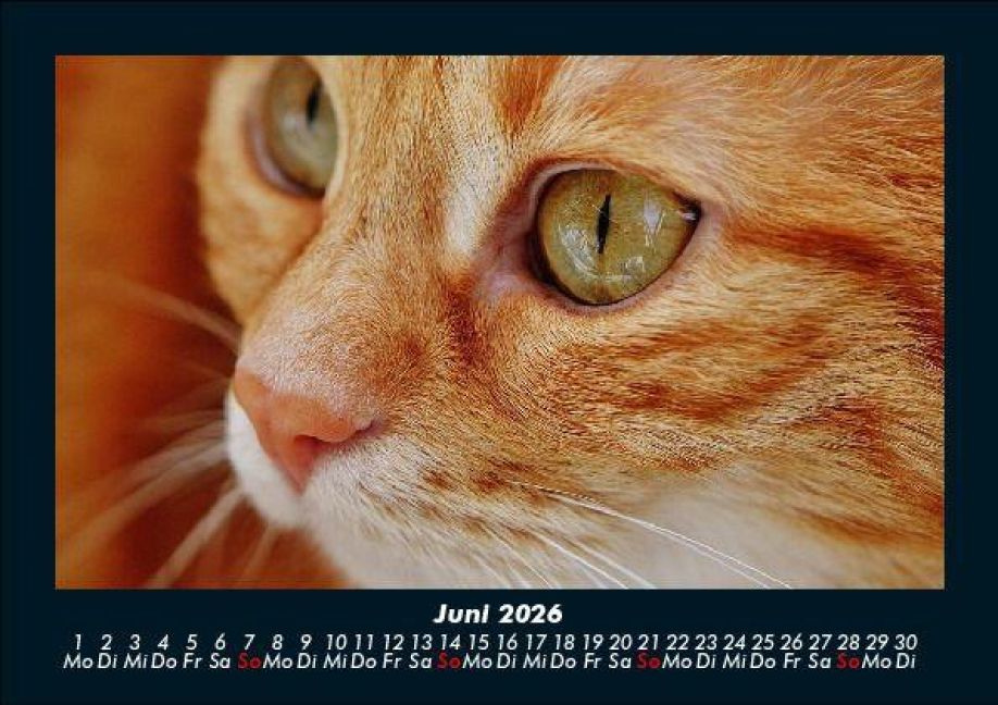 InsideView 10