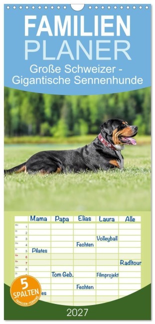 Familienplaner 2027 - Große Schweizer - Gigantische Sennenhunde mit 5 Spalten (Wandkalender, 21 x 45 cm) CALVENDO - Jana K. Fotografie