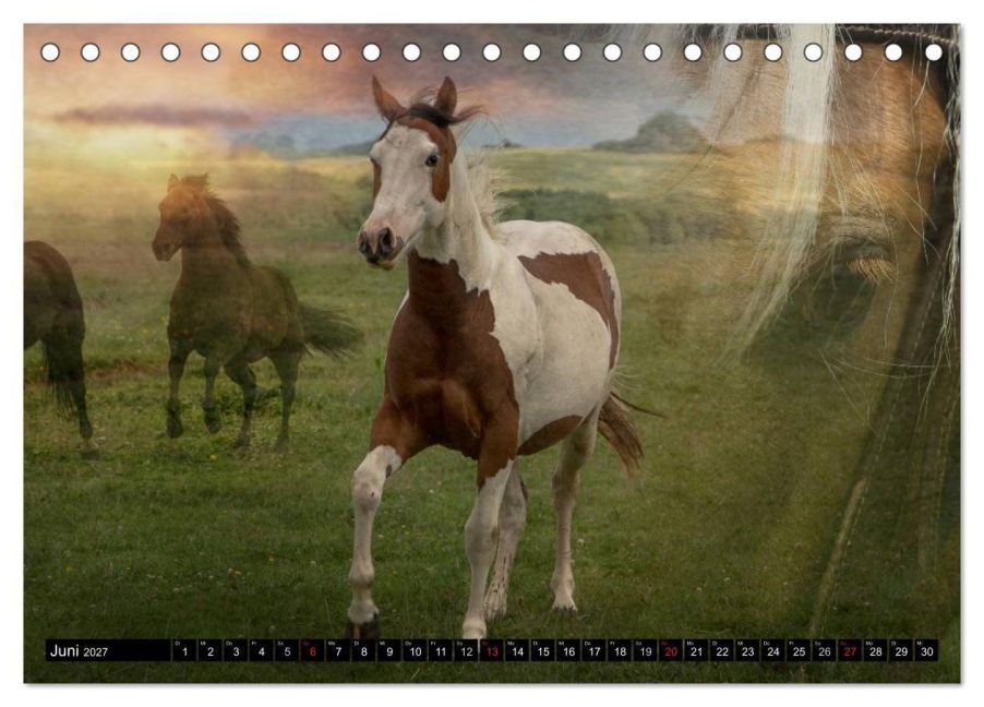 InsideView 11
