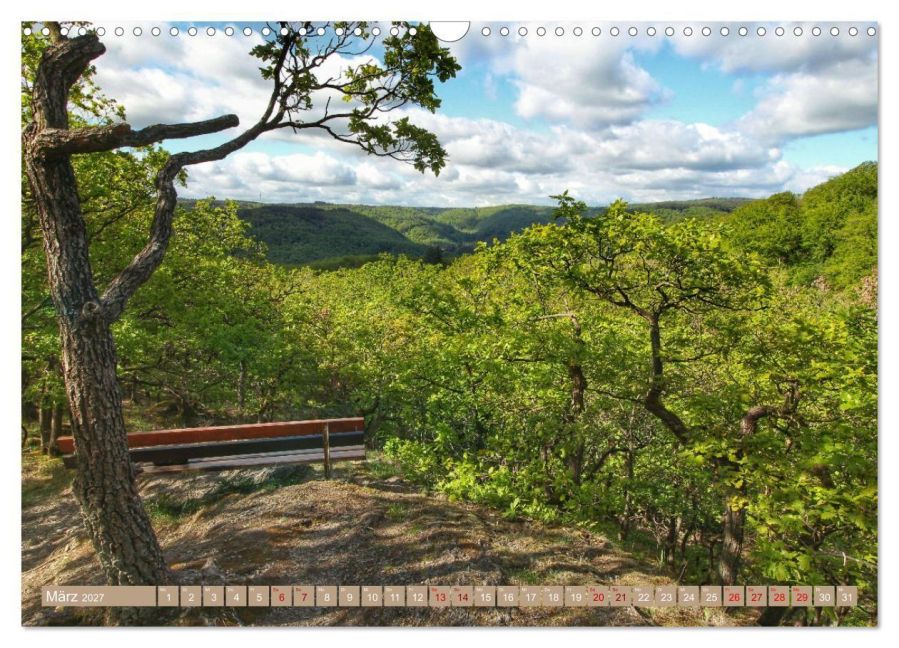 InsideView 8