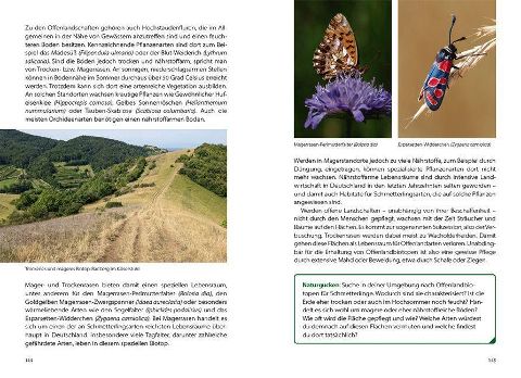 InsideView 4