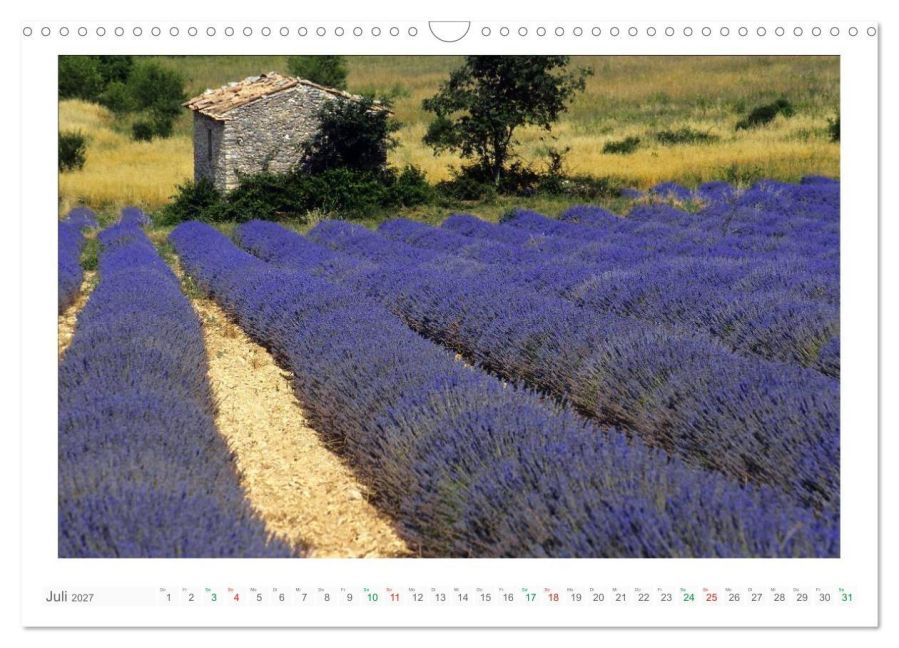 InsideView 12