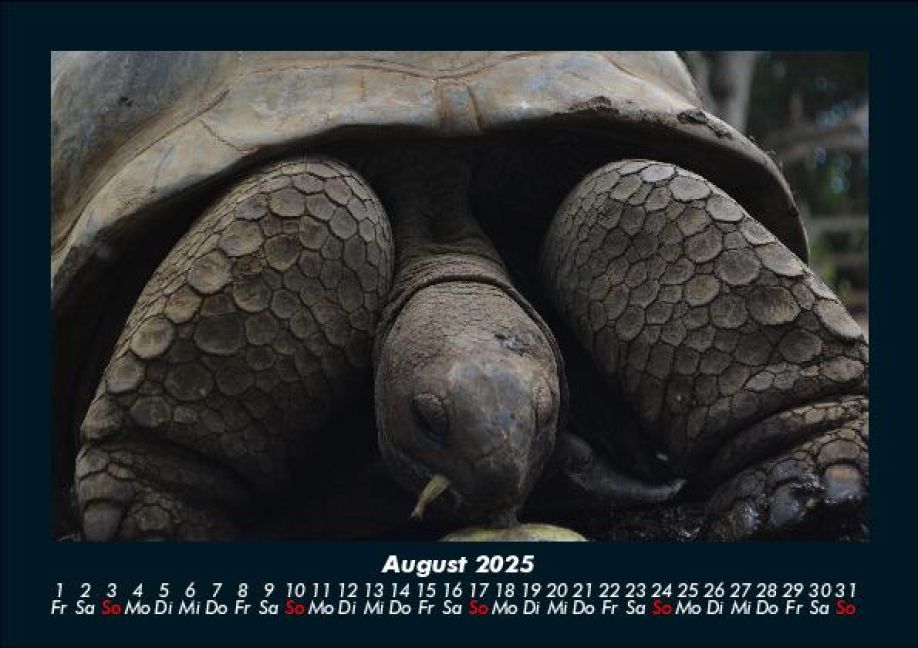 InsideView 12