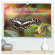 achja?! Schmetterlinge, exotisch, bunt und wunderschön (hochwertiger Premium Wandkalender 2026 DIN A2 quer), Kunstdruck in Hochglanz - Sabine Löwer