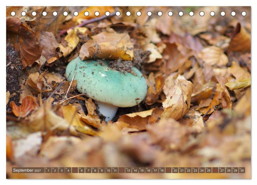 InsideView 14
