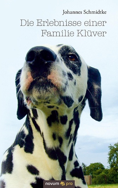 Die Erlebnisse einer Familie Klüver - Johannes Schmidtke