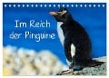 Im Reich der Pinguine (Tischkalender 2024 DIN A5 quer), CALVENDO Monatskalender - Hans-Gerhard Pfaff