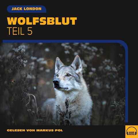 Wolfsblut (Teil 5) - Jack London