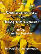 Cover-Bild zum Titel 'Druidenkraut und Kraftpflanzen' von 'Rolf E. Egli'