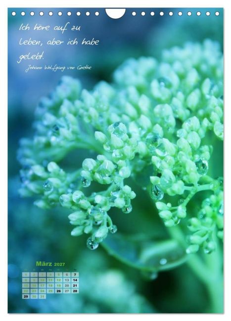 InsideView 8