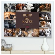 Cover-Bild zum Titel 'Hund und Katze - Tierische Freunde (hochwertiger Premium Wandkalender 2026 DIN A2 quer), Kunstdruck in Hochglanz' von 'Dirk Meutzner'