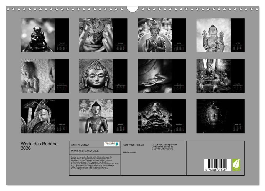 InsideView 5