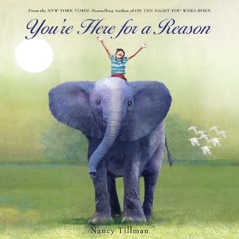 You're Here for a Reason - Nancy Tillman