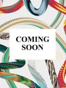 Cover-Bild zum Titel 'Tarzan, Sunday Comics, V1, Hal Foster' von ''