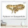 Pythons im Rampenlicht (hochwertiger Premium Wandkalender 2025 DIN A2 quer), Kunstdruck in Hochglanz - SchnelleWelten SchnelleWelten