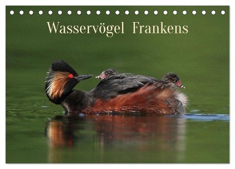 Wasservögel Frankens (Tischkalender 2024 DIN A5 quer), CALVENDO Monatskalender - Günter Bachmeier