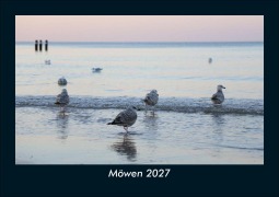 Cover-Bild zum Titel 'Möwen 2027 Fotokalender DIN A5' von 'Tobias Schmitt, Kevin Heber'