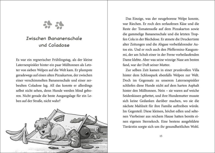 InsideView 6