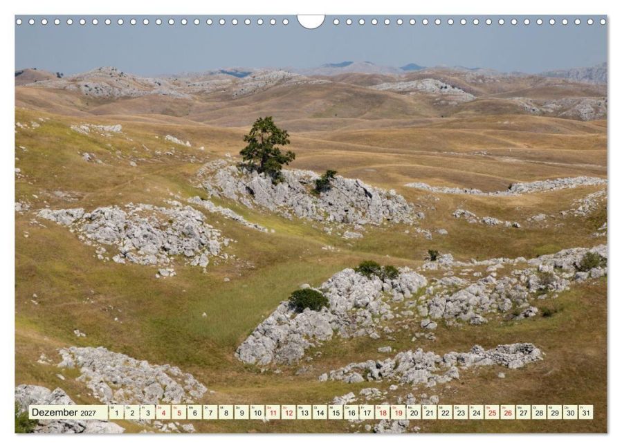 InsideView 4