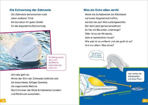 InsideView 11