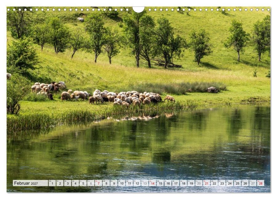 InsideView 7