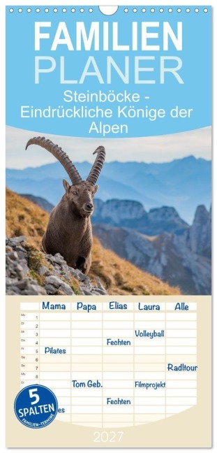 Familienplaner 2027 - Steinböcke - Eindrückliche Könige der Alpen mit 5 Spalten (Wandkalender, 21 x 45 cm) CALVENDO - Michaela Kramer
