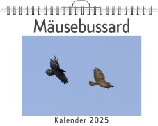 Cover-Bild zum Titel 'Mäusebussard' von 'Zoe Hofmann'