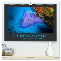 Unterwasserwelt - Das Leben am Korallenriff (hochwertiger Premium Wandkalender 2024 DIN A2 quer), Kunstdruck in Hochglanz - Dirk Meutzner