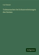 Todesursachen bei Schussverletzungen des Darmes - Carl Zinszer