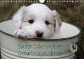 Cover-Bild zum Titel 'Border Collie-Welpen Geburtstagskalender (Wandkalender immerwährend DIN A4 quer)' von 'Antje Lindert-Rottke'