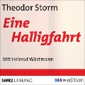 Cover-Bild zum Titel 'Eine Halligfahrt' von 'Theodor Storm'