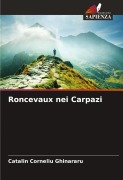 Cover-Bild zum Titel 'Roncevaux nei Carpazi' von 'Catalin Corneliu Ghinararu'