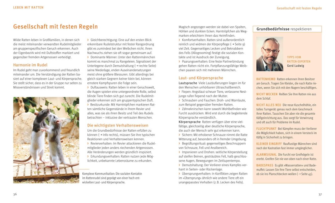 InsideView 6