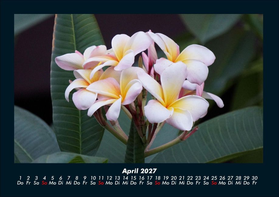 InsideView 8