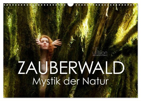 ZAUBERWALD Mystik der Natur (Wandkalender 2025 DIN A3 quer), CALVENDO Monatskalender - Ulrich Allgaier (Ullision)