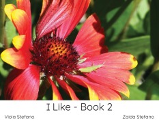 Cover-Bild zum Titel 'I Like - Book 2' von 'Zaida Stefano, Viola Stefano'