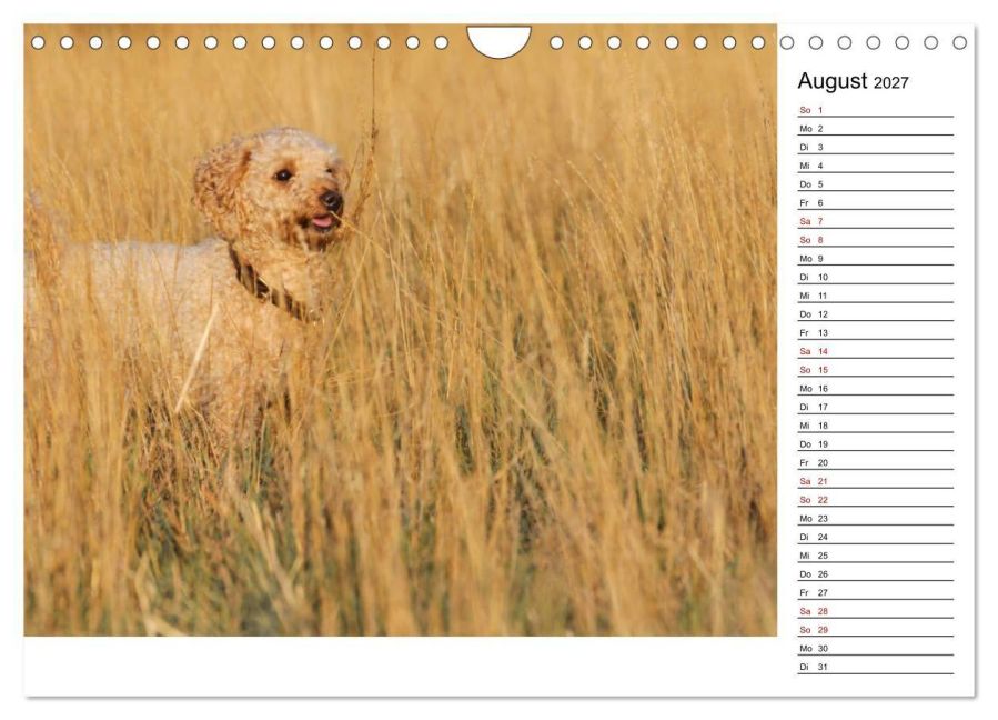 InsideView 13