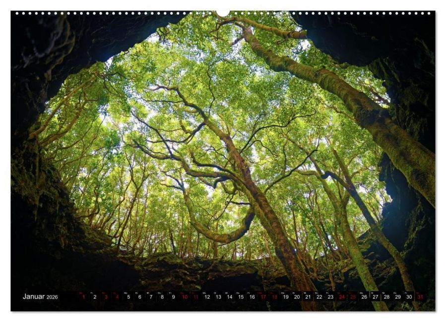 InsideView 5