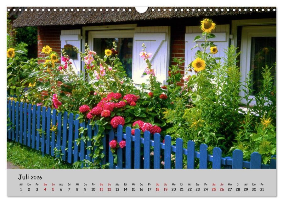 InsideView 12