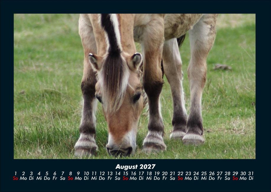 InsideView 12