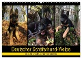 Deutscher Schäferhund-Welpe - aus der Ostdeutschen Arbeitslinie (Wandkalender 2024 DIN A2 quer), CALVENDO Monatskalender - Tanja Riedel