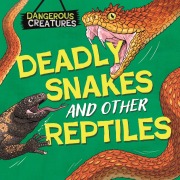 Cover-Bild zum Titel 'Dangerous Creatures: Snakes and Other Reptiles' von 'Lynn Huggins-Cooper'