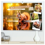 Cover-Bild zum Titel 'EICHHÖRNCHEN Niedliche kleine Wesen (hochwertiger Premium Wandkalender 2026 DIN A2 quer), Kunstdruck in Hochglanz' von 'Melanie Viola'