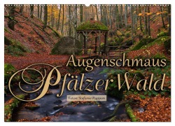 Cover-Bild zum Titel 'Augenschmaus Pfälzer Wald (Wandkalender 2026 DIN A2 quer), CALVENDO Monatskalender' von 'Stefanie Pappon'