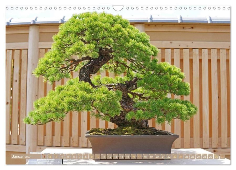 InsideView 6